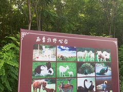 -西青郊野公园