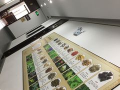 -大通中医馆