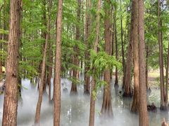 -东湖落雁景区