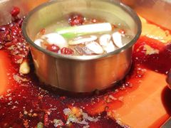 -蜀九香火锅(彩虹店)