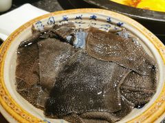 陈眼镜特色毛肚-陈眼镜火锅(总店)
