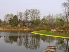 -桤木河湿地公园