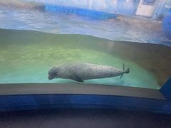 -常州海昌海洋探索馆