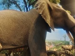 -陕西自然博物馆