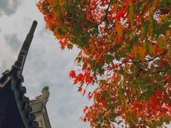 -南山风景名胜区