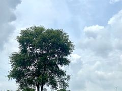 -重庆中央公园(渝北区)