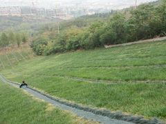 -原山国家森林公园