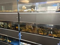 -灵龟之家百象馆(百象馆联合旗舰店)