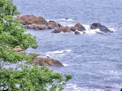 -青岛海滨风景区小青岛