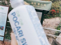 -板樟山森林公园