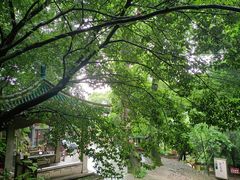 -岳麓山风景名胜区