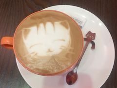 -猫色咖啡·猫咖