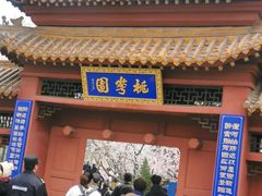 -桃花堤公园