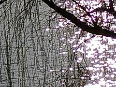 -食膳公园包子铺(烈士公园店)