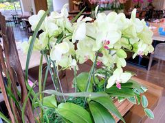 -台北北投丽禧温泉酒店