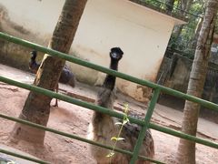 -广东茂名森林公园