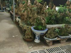 -秦美花卉(天朗·莱茵小城2期店)
