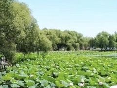 -长春市南湖公园