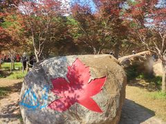 -广州市帽峰山景区