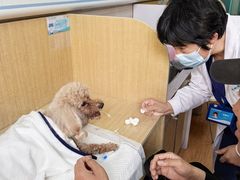 -北京观赏动物医院·24小时大型综合·猫专科·异宠专科