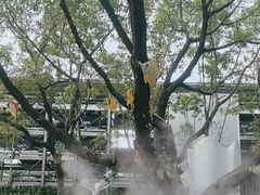 -广州海洋馆