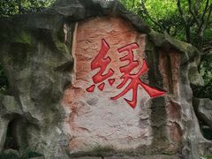 -杭州黄龙洞