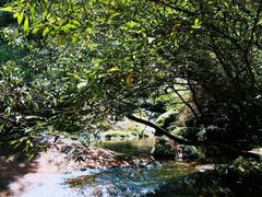 -赤水丹霞旅游区·佛光岩