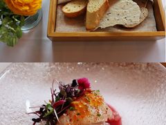 -蝶舍·MAISON PAPILLON