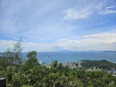 -广东惠东海龟国家级自然保护区