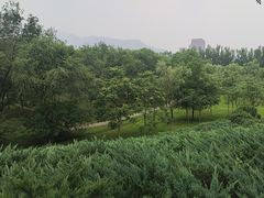 -滨河世纪广场公园