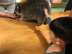 -藦茜花园宠物主题亲子互动体验馆(国顺东路店)
