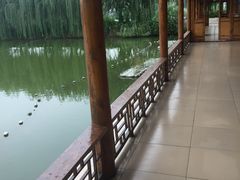 -白洋淀景区