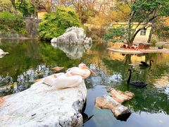 -昆明动物园