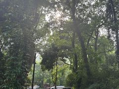 -杭州西湖风景名胜区-满觉陇四眼井