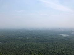 -紫金山天文台