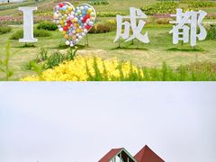 -空港花田景区