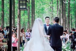 -李顺昌 SACELL LEE (旗舰店)