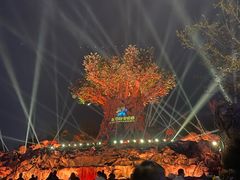 -郑州银基国际旅游度假区
