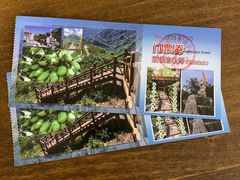 -大岭沟猕猴桃谷风景区