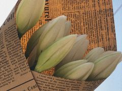 -UNIUNI(凯瑟琳广场店)