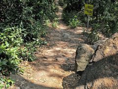 -火炉山森林公园