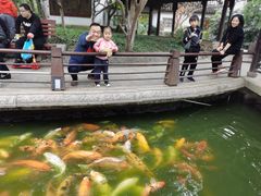 -荆川公园