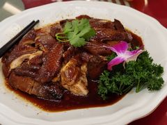 -广州科尔海悦酒店