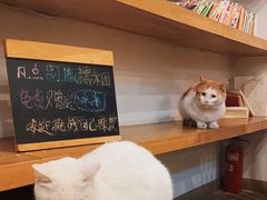 -正南齐北·老街糯米团(洪崖洞店)