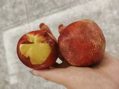 -曼格蒸汽活海鲜·榴莲自助(皇庭广场店)