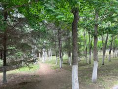 -长白岛森林公园