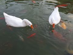 -祝家花園(伯渎港店)