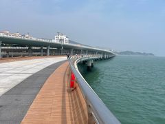 -演武大桥观景平台