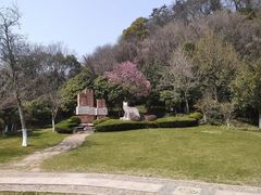 -狼山风景名胜区