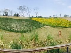 -白鹭湾湿地公园